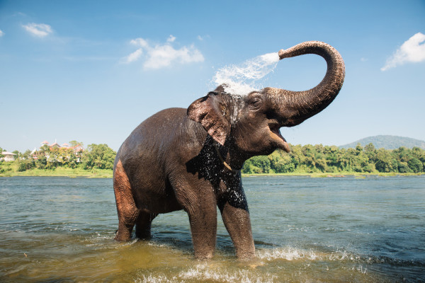 Kerala 4N/5D