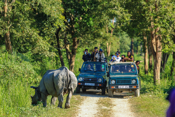 SHILLONG,CHERAPUNJEE, KAZIRANGA & GUWAHATI 6N/7D