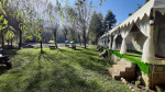 Persimmon Farmstead